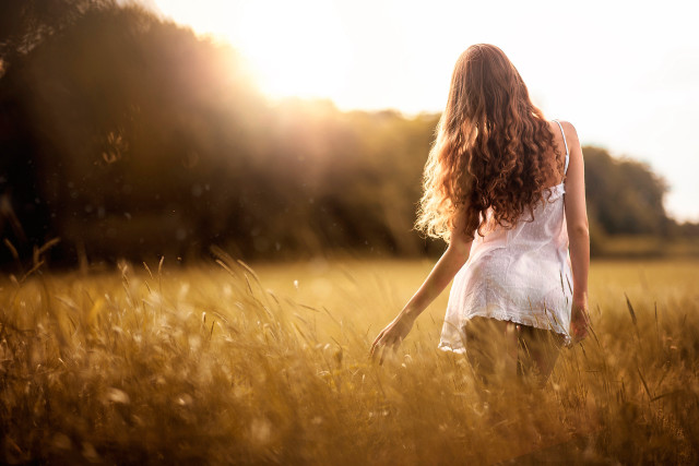 Woman field sunset blowinghair outdoor free wallpaper for desktop - medium preview image