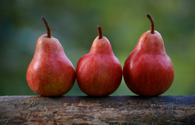 Three pears red green background free wallpaper for desktop - medium preview image