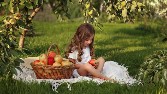 Little girl basket of apples free wallpaper for desktop - medium preview image