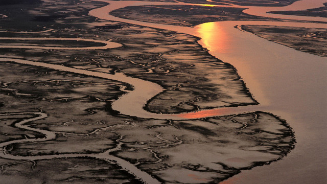 River field sunset ecological art free wallpaper for desktop - medium preview image