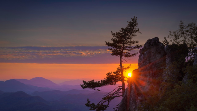 Sunset mountain tree bright sun free wallpaper for desktop - medium preview image