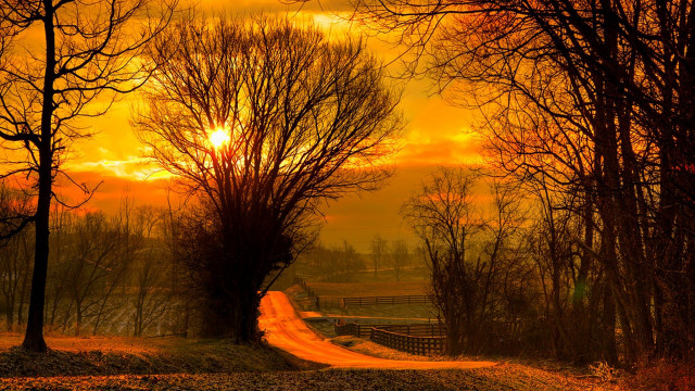 Dirt road autumn leaves sunset free wallpaper for desktop - medium preview image
