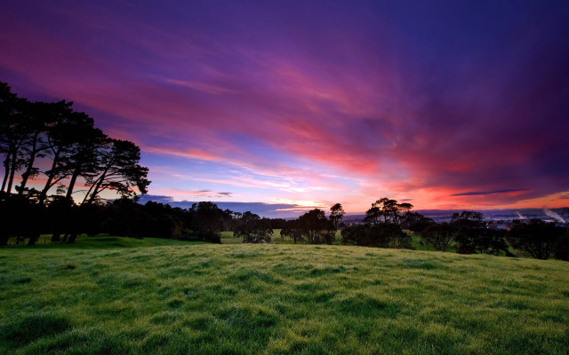 Sunset field trees purple sky free wallpaper for desktop - medium preview image