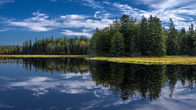 Lake trees grass blue sky #4 free wallpaper for desktop - medium preview image