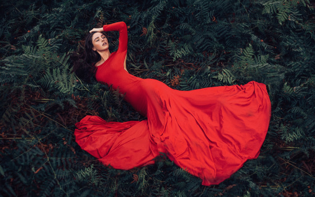 Woman red dress laying field free wallpaper for desktop - medium preview image