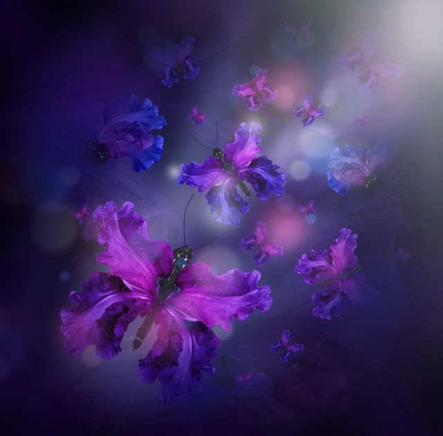 Purple flower butterfly glowing fairy free wallpaper for tablet - medium preview image