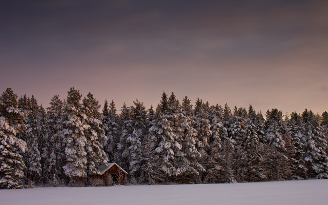 Snowy cabin forest autumn sunset free wallpaper for desktop - medium preview image