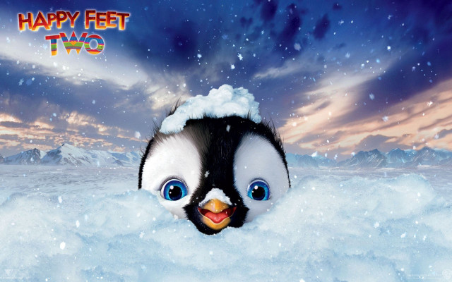 Penguin peeking snow happy face free wallpaper for desktop - medium preview image