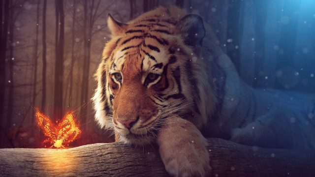 Tiger log snow fireball fantasy free wallpaper for desktop - medium preview image