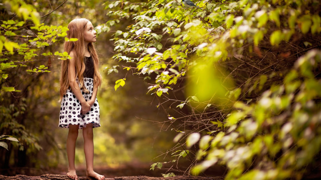Girl forest sky blowing hair free wallpaper for desktop - medium preview image