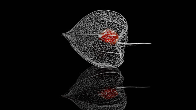 Wire sculpture red heart reflection free wallpaper for desktop - medium preview image