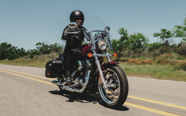 Man motorcycle road forest trees free wallpaper for desktop - medium preview image