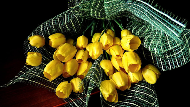 Yellow flowers table green net free wallpaper for desktop - medium preview image