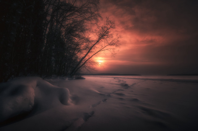 Sunset snowy beach footprints trees free wallpaper for desktop - medium preview image