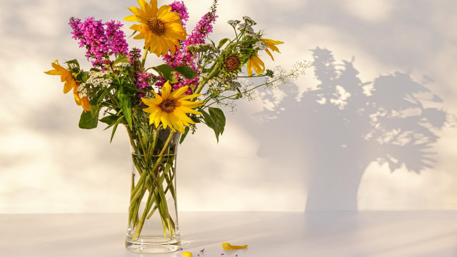 Vase flowers shadow tree wall free wallpaper for desktop - medium preview image