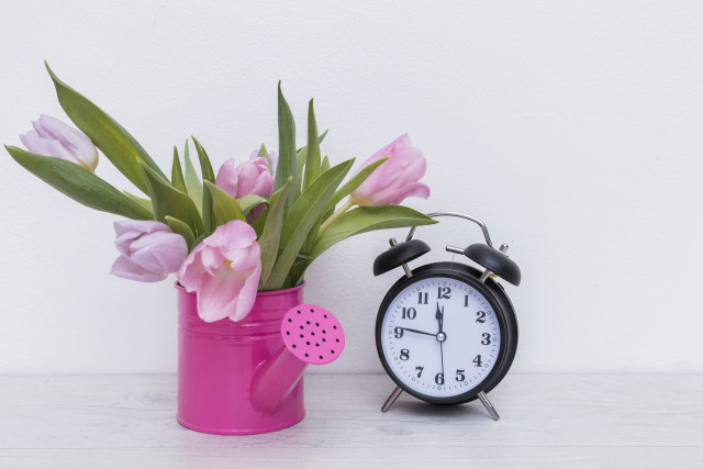 Pink vase flowers clock still free wallpaper for desktop - medium preview image