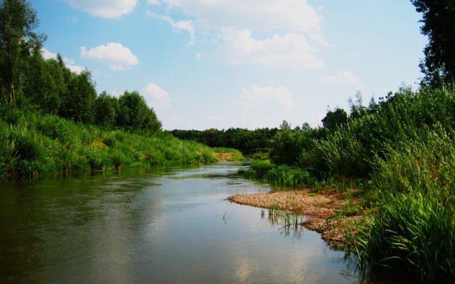 River forest blue sky nature free wallpaper for desktop - medium preview image