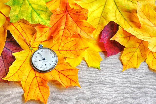 Autumn leaves clock orange fire free wallpaper for desktop - medium preview image