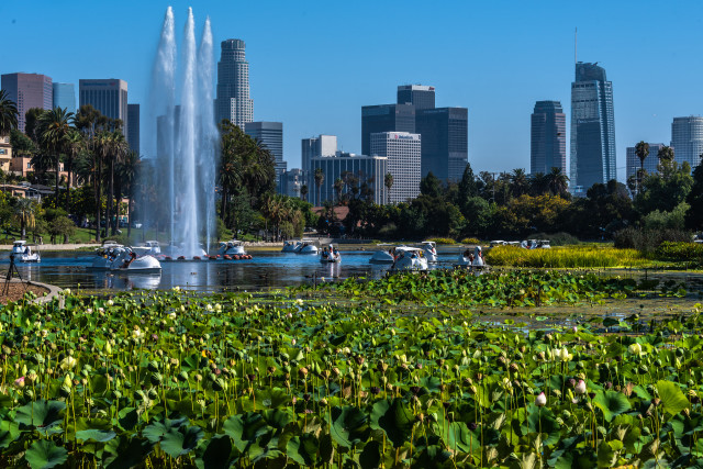 City skyline fountain boats lake free wallpaper for desktop - medium preview image