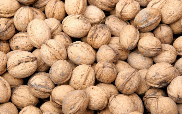 Nuts brown detailed oil painting free wallpaper for desktop - medium preview image