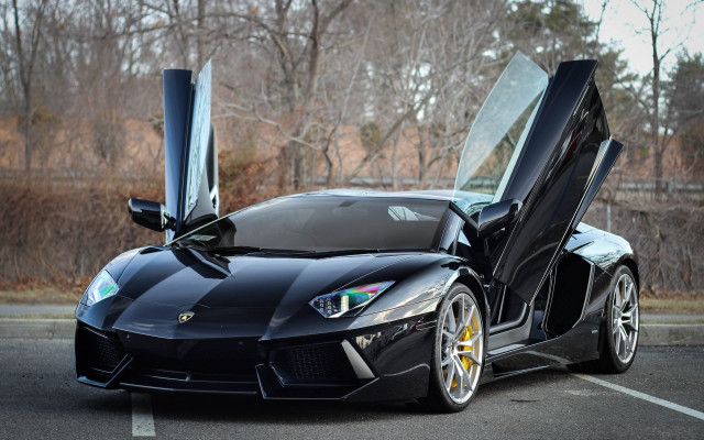 Black sports car open doors #3 free wallpaper for desktop - medium preview image