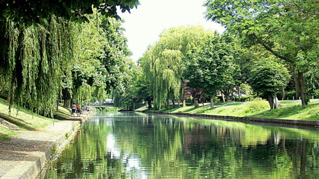 River park trees people scenery free wallpaper for desktop - medium preview image