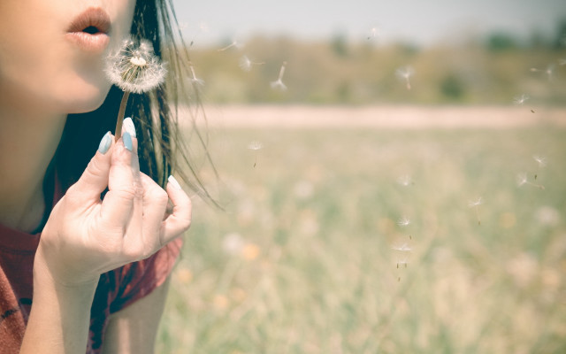 Woman blowing dandelion field magic free wallpaper for desktop - medium preview image