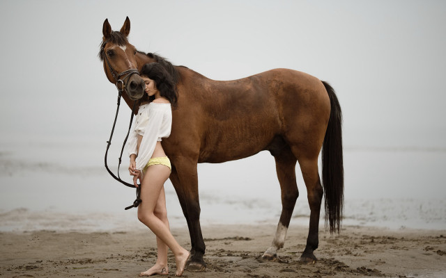 Woman bikini horse beach foggy free wallpaper for desktop - medium preview image