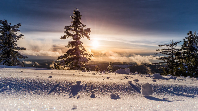 Snowy hill tree sunset beams free wallpaper for desktop - medium preview image