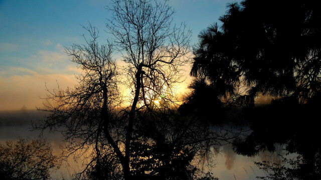 Silhouetted tree sunset lake fog free wallpaper for desktop - medium preview image