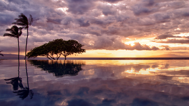 Sunset tree water reflection clouds free wallpaper for desktop - medium preview image