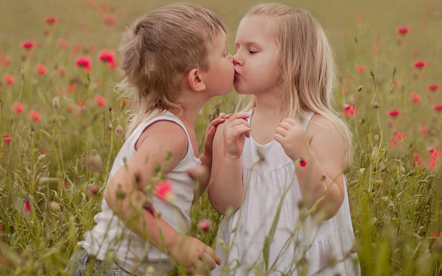 Girls kissing flower field blurry free wallpaper for desktop - medium preview image