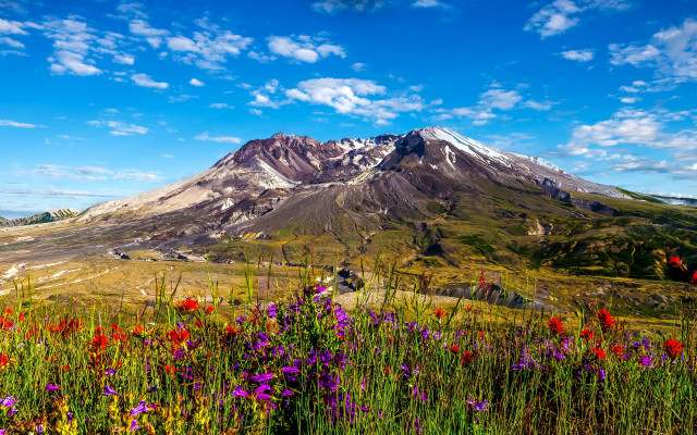 Mountain snow capped peak flower free wallpaper for desktop - medium preview image
