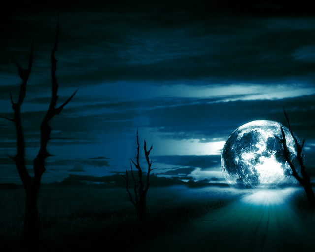 Full moon dead trees matte free wallpaper for desktop - medium preview image