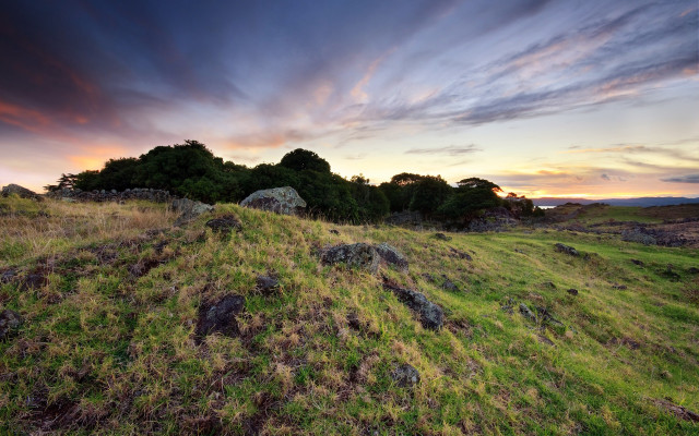 Grassy field rocks trees sunset free wallpaper for desktop - medium preview image