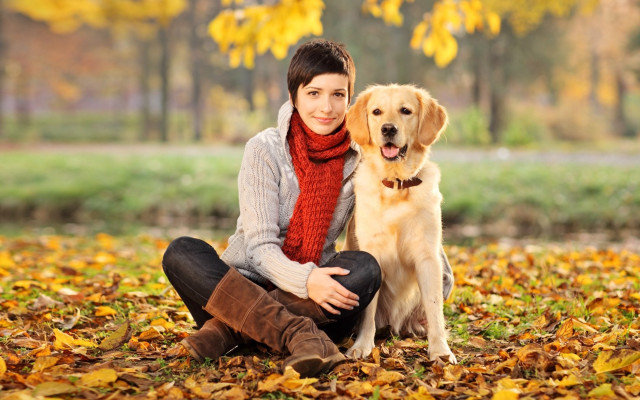 Woman leaves dog autumn tree free wallpaper for desktop - medium preview image