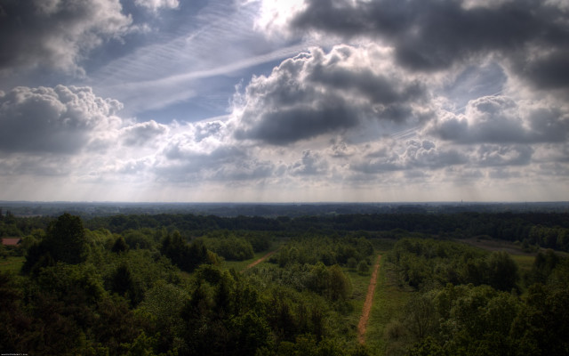 Forest cloudy sky dirt road free wallpaper for desktop - medium preview image