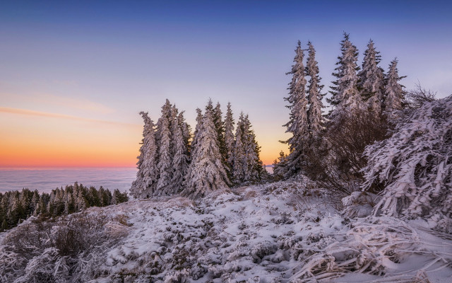 Snowy mountain trees sunset pink free wallpaper for desktop - medium preview image