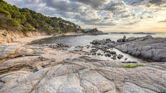 Rocky beach sunset trees cloudy free wallpaper for desktop - medium preview image