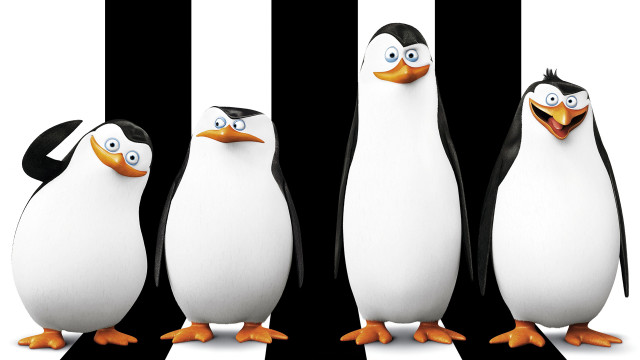 Penguins group blackwhite striped face free wallpaper for desktop - medium preview image