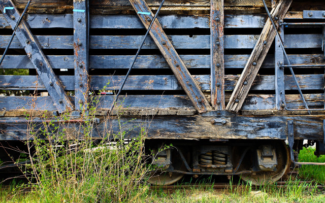 Train car overgrown urban scene free wallpaper for desktop - medium preview image