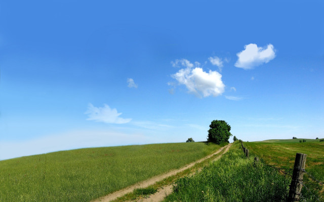 Dirt road green field tree #2 free wallpaper for desktop - medium preview image