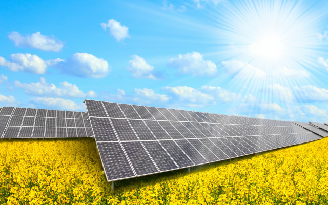 Flower field solar panel sunlight free wallpaper for desktop - medium preview image