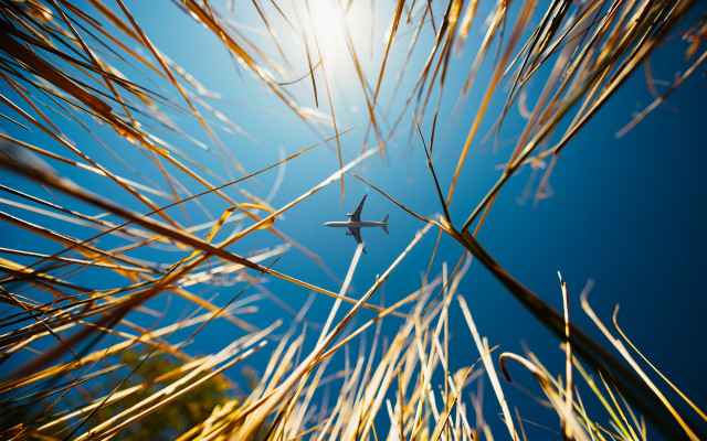 Plane blue sky tall grass free wallpaper for desktop - medium preview image