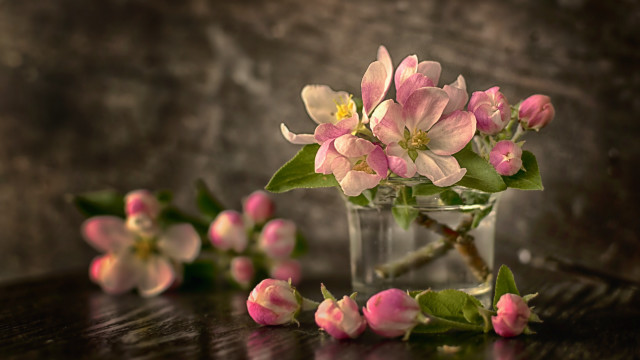 Pink flowers vase still life #2 free wallpaper for desktop - medium preview image