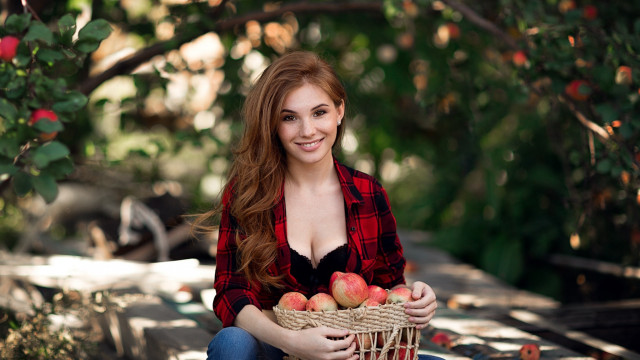 Elina karimova christmas basket apples free wallpaper for desktop - medium preview image