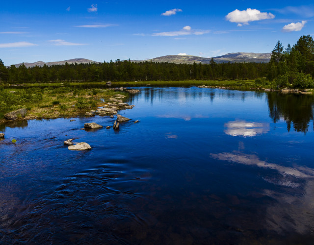 River rocks clouds trees sky free wallpaper for desktop - medium preview image