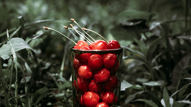 Cherry glass forest leaves photography free wallpaper for desktop - medium preview image