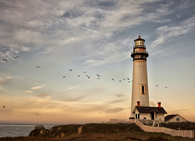 Lighthouse birds sunset cliff matte free wallpaper for desktop - medium preview image