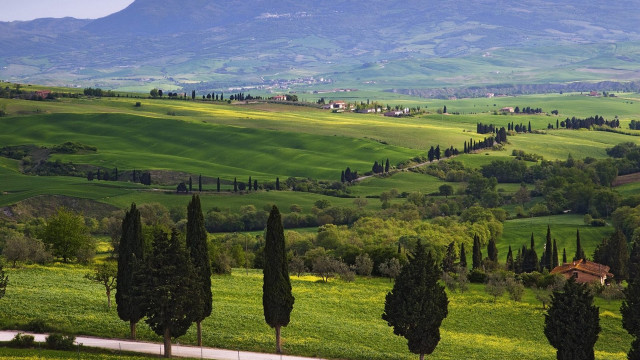 Scenic green valley mountain forest free wallpaper for desktop - medium preview image